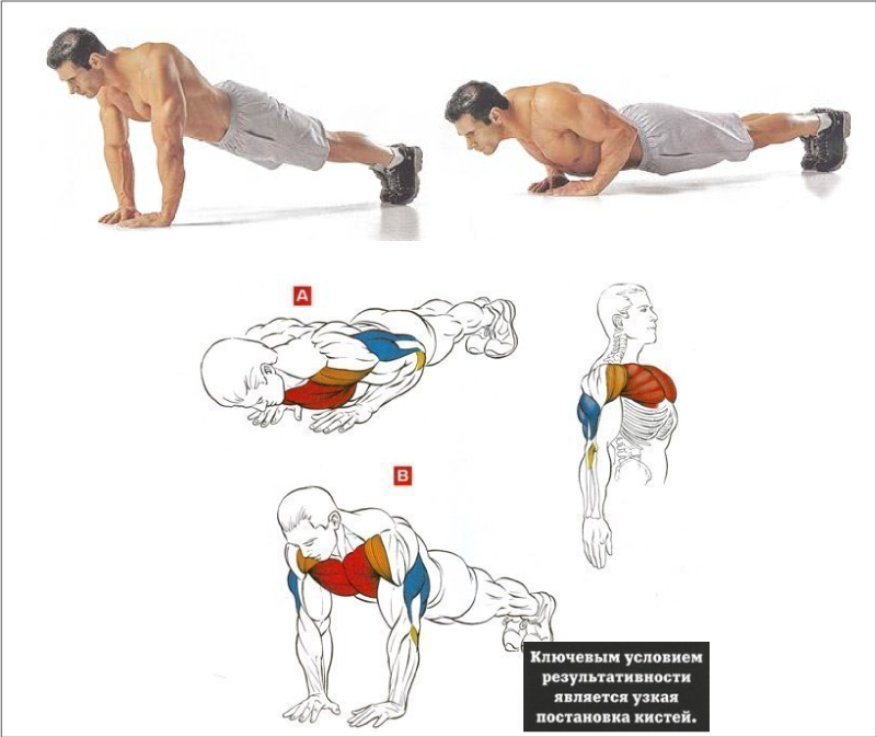 Как отжиматься правильно мужчинам