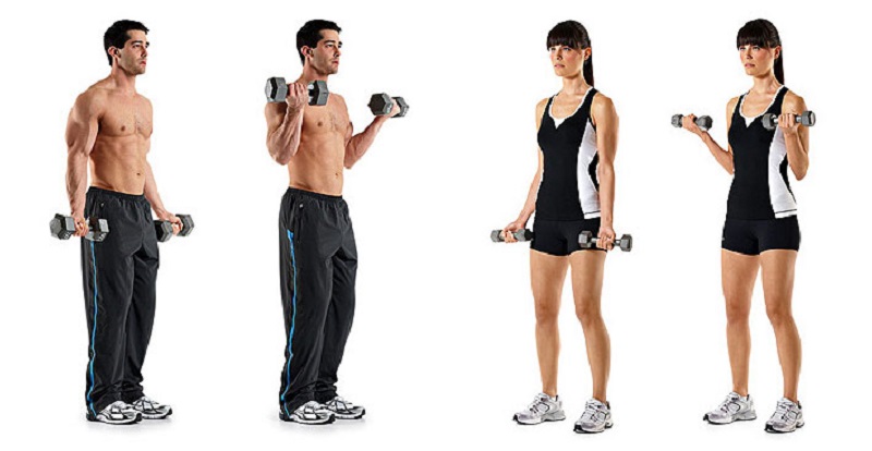 подъем гантелей хватом молот. подъем гантелей на бицепс молот стоя. подъем гантелей на бицепс хаммер. гантели на бицепс стоя техника выполнения. подъем гантелей на бицепс молот.